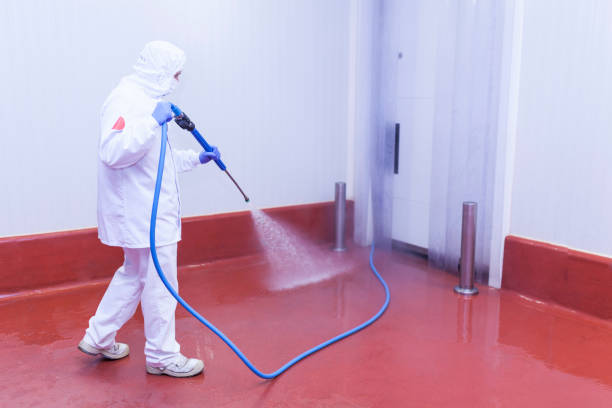 Best Sidewalk and Walkway Cleaning  in South Uniontown, PA